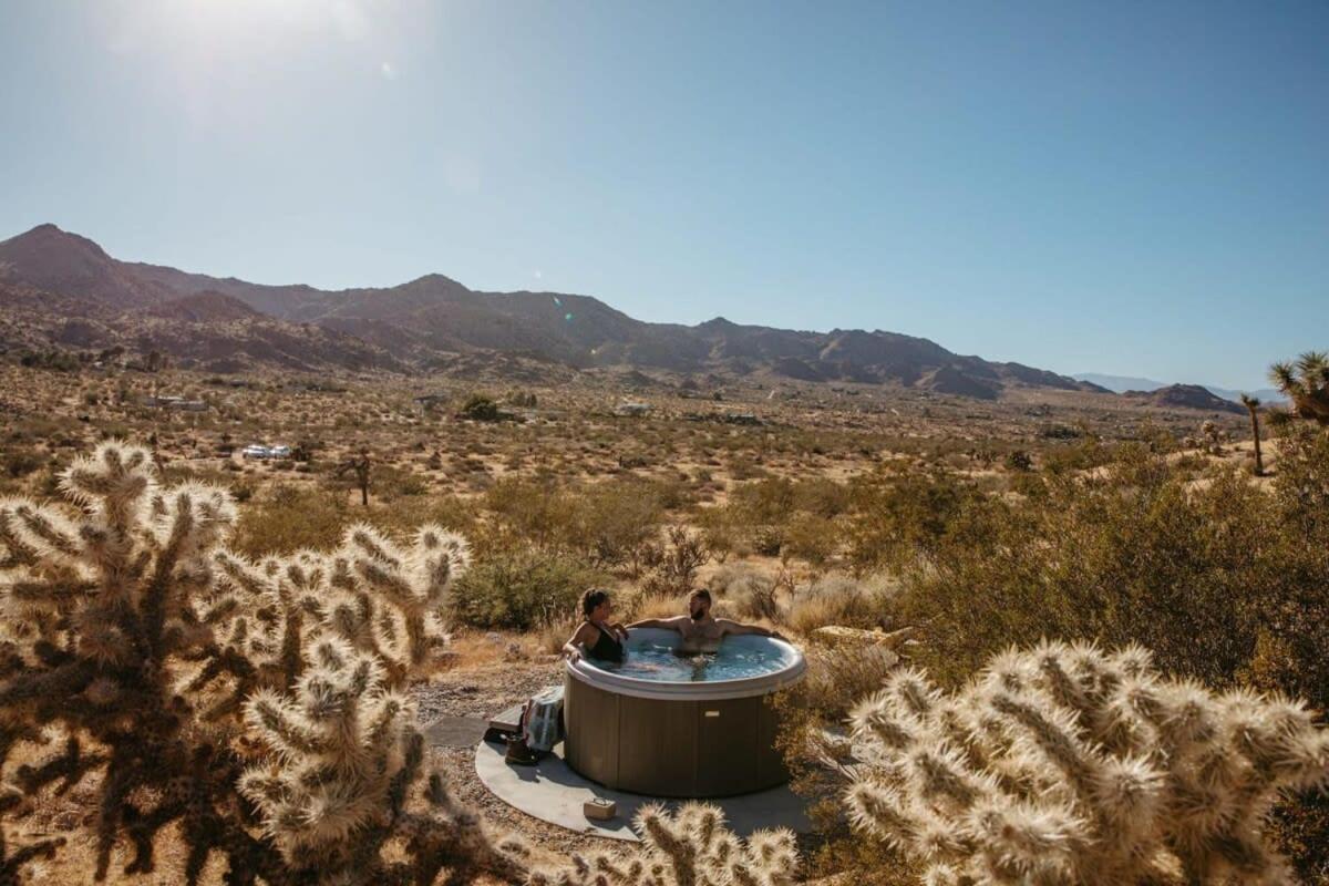 Shelter 1- A Classic- At Joshua Tree Park Entrance Eksteriør billede